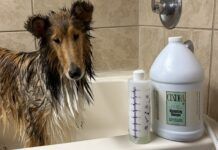 The best dog shampoos for dry skin help a dog maintain both a good coat and healthy skin.