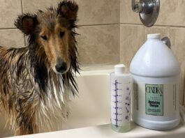 The best dog shampoos for dry skin help a dog maintain both a good coat and healthy skin.