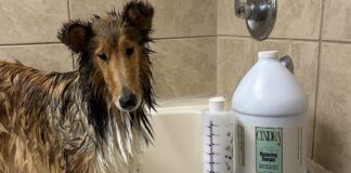 The best dog shampoos for dry skin help a dog maintain both a good coat and healthy skin.