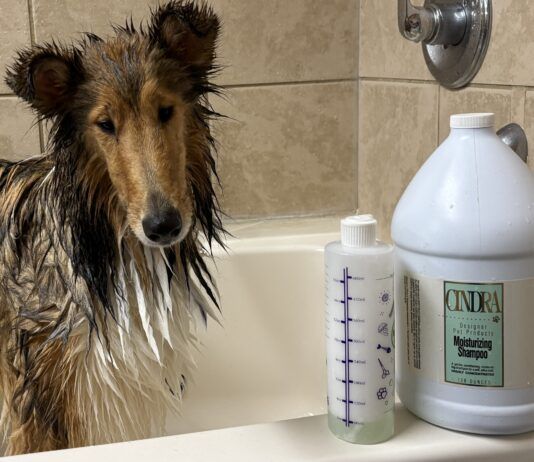 The best dog shampoos for dry skin help a dog maintain both a good coat and healthy skin.