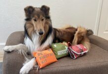 Best Dog First Aid Kits The best dog first aid kits can differ depending on whether they're meant to be use at home or in the field.