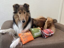 Best Dog First Aid Kits The best dog first aid kits can differ depending on whether they're meant to be use at home or in the field.