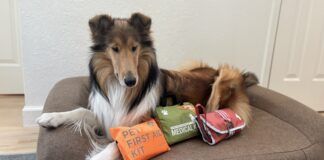 The best dog first aid kits can differ depending on whether they're meant to be use at home or in the field.
