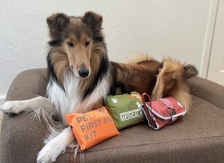 The best dog first aid kits can differ depending on whether they're meant to be use at home or in the field.