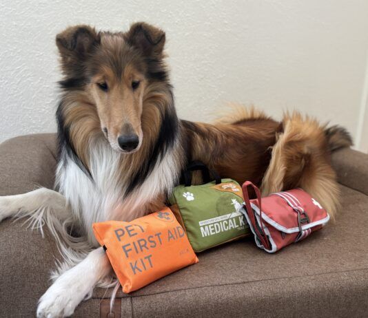The best dog first aid kits can differ depending on whether they're meant to be use at home or in the field.