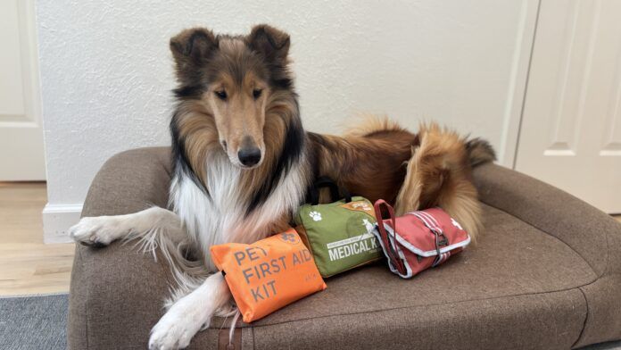 The best dog first aid kits can differ depending on whether they're meant to be use at home or in the field.