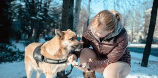 A woman smears Vaseline on her dog's paw to protect him from snowy weather.