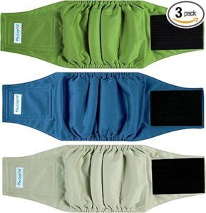 Paw legend male dog diapers on display.