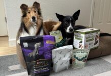 The Best Dog Dental Chews The best dog dental chews provide oral hygiene and a treat at the same time.
