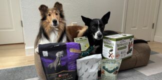 The best dog dental chews provide oral hygiene and a treat at the same time.