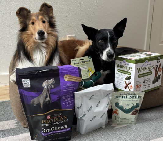 The best dog dental chews provide oral hygiene and a treat at the same time.