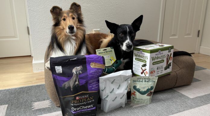 The Best Dog Dental Chews The best dog dental chews provide oral hygiene and a treat at the same time.