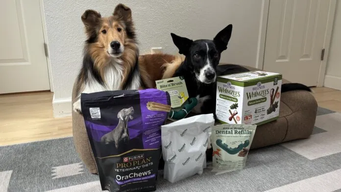 Best Dog Dental Chews The best dog dental chews provide oral hygiene and a treat at the same time.