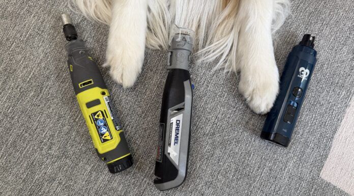 The best dog nail grinders offer a combination of ease of use and quiet to make trimming your dog's nails easy.