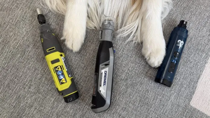 The best dog nail grinders offer a combination of ease of use and quiet to make trimming your dog's nails easy.