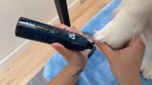 The Casfuy was the best budget dog nail grinder, and the quietest of those tested.