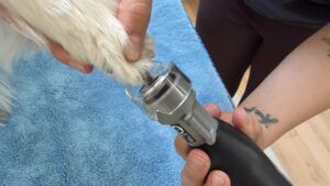 The Dremel PawControl 7760 was our pick for best dog nail grinder.