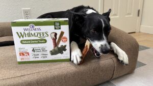Whimzees are our pick for the best dog dental chews.