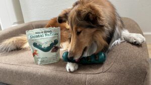 The Woof Bite n' Brush is both a dental chew and a dog toy.