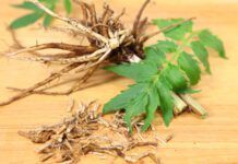 Valerian root for dogs is thought to be a natural stress and anxiety relief.