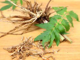 Valerian Root for Dogs Valerian root for dogs is thought to be a natural stress and anxiety relief.