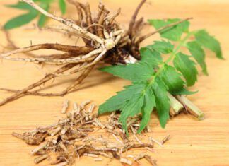 Valerian root for dogs is thought to be a natural stress and anxiety relief.