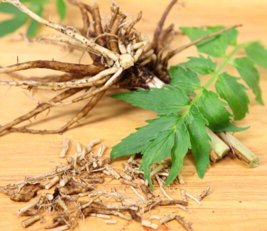 Valerian Root for Dogs Valerian root for dogs is thought to be a natural stress and anxiety relief.