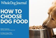 Video: How to Choose the Right Dog Food