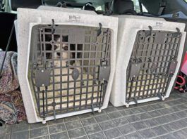 Hard dog crates can keep both large and small dogs safe during travel.