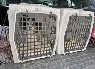 Choosing the Best Hard Dog Crate for Your Dog Hard dog crates can keep both large and small dogs safe during travel.