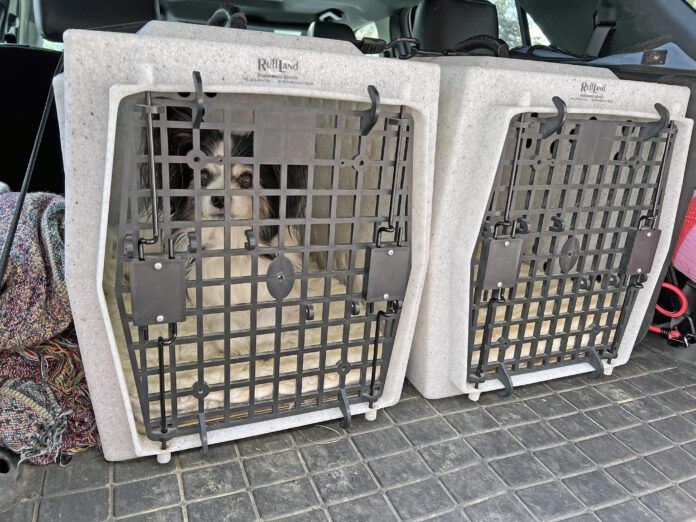 RuffLand Hard dog crates can keep both large and small dogs safe during travel.