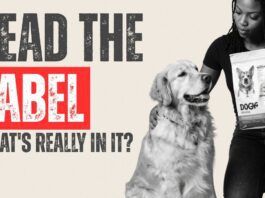 How to Read a Dog Food Label (What Actually Matters) video from Whole Dog Journal