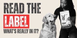 How to Read a Dog Food Label (What Actually Matters) video from Whole Dog Journal