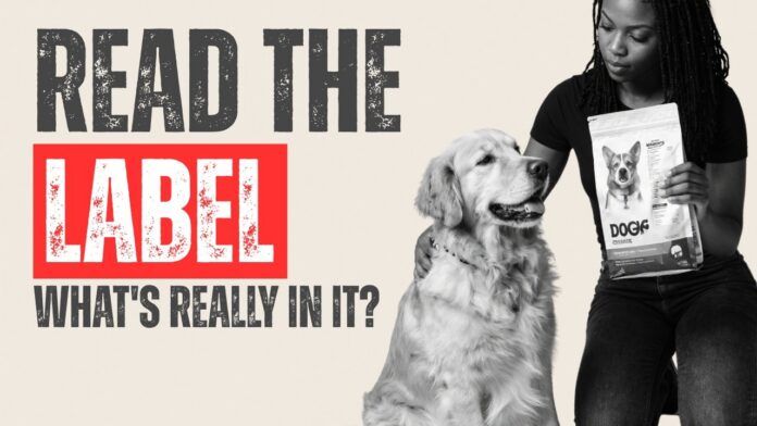 How to Read a Dog Food Label (What Actually Matters) video from Whole Dog Journal