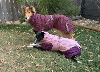 Best Dog Jackets for Winter The best winter jackets for dogs fit well, and are compatible with your gear.