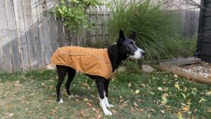 The fuse insulated vest provides combines jacket and vest.