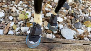Ruffwear provides a comfortable pair of waterproof dog boots.