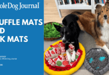 Snuffle Mats and Lick Mats: Benefits, Picks, and How to Use Them